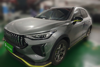 哈弗赤兔 2022款 劲享版 1.5T 紫铜兔