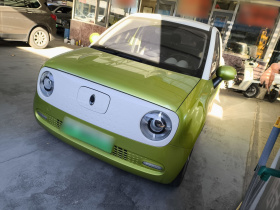 欧拉黑猫 2021款 351km 标准型