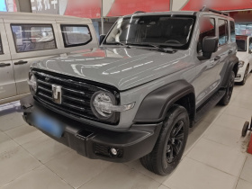 坦克300 2024款 2.0T 挑战者