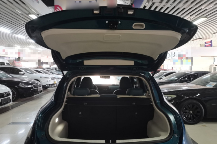 欧拉好猫 2021款 400km标准续航 雅典娜版 磷酸铁锂局部细节23