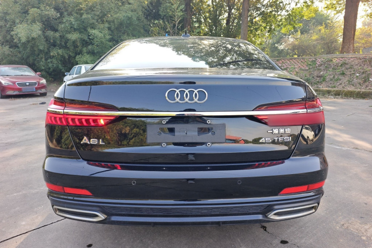 奥迪A6L 2020款 45 TFSI 臻选动感型车身外观6004
