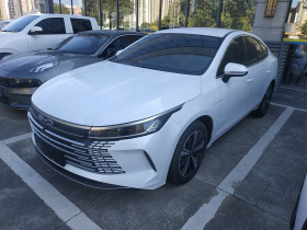 比亚迪 驱逐舰05 2023款 冠军版 DM-i 120KM 尊贵型