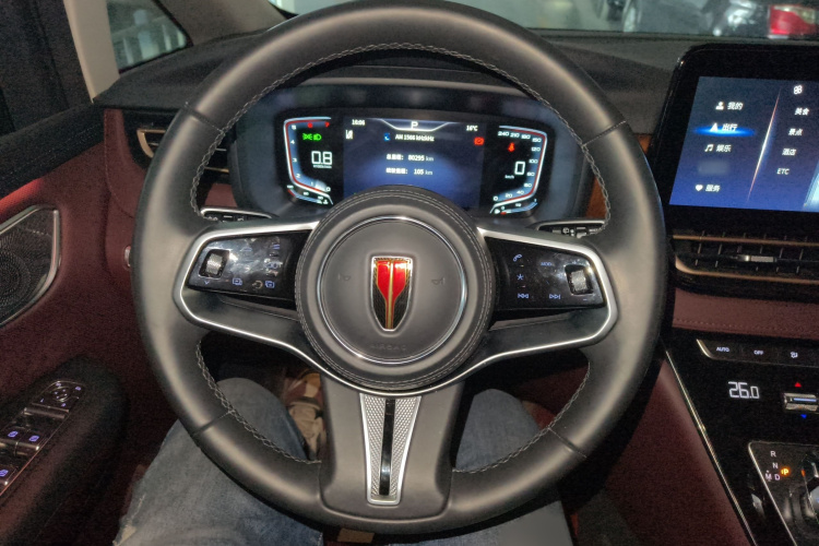 红旗HQ9 2023款 2.0T 智联旗享版局部细节13