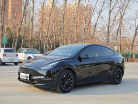 特斯拉 Model Y 2021款 长续航全轮驱动版 3D7