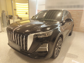 红旗HS5 2025款 2.0T 四驱旗享Pro版