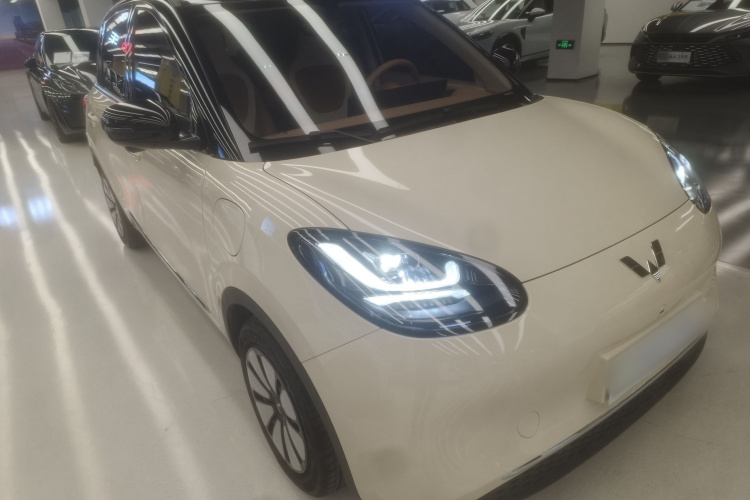 五菱汽车 五菱缤果 2025款 333km 灵犀尊享款车身外观6002