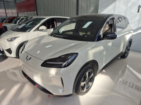 五菱汽车 五菱缤果PLUS 2024款 510km 旗舰版 四座版