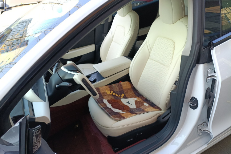 特斯拉 Model 3 2022款 Performance高性能全轮驱动版中控内饰19