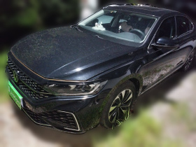 大众 帕萨特 2023款 330TSI 星空精英版