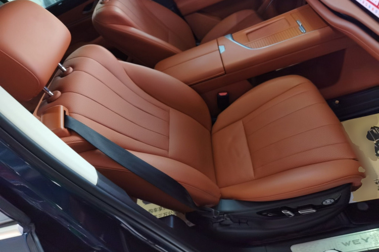 魏牌 蓝山 2025款 四驱 Max局部细节41