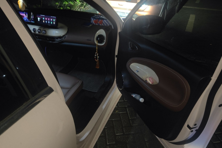 五菱汽车 五菱缤果 2023款 410km 灵犀尊享款局部细节9005