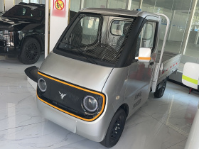 大力牛魔王D02 2023款 120km 栏板标准型