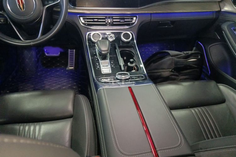 红旗H9 2020款 2.0T 智联旗畅版局部细节18