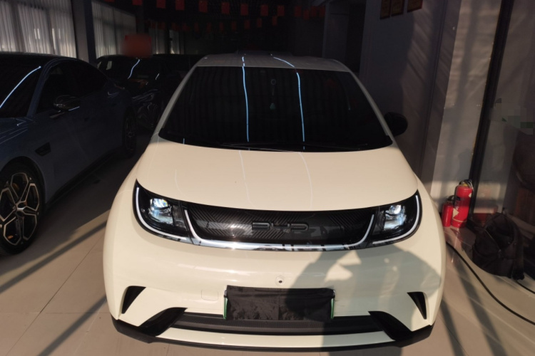 比亚迪 海豚 2023款 420km 自由版车身外观2