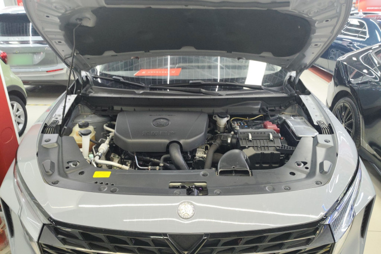 启辰大V 2021款 260T 爱豆版机舱底盘24