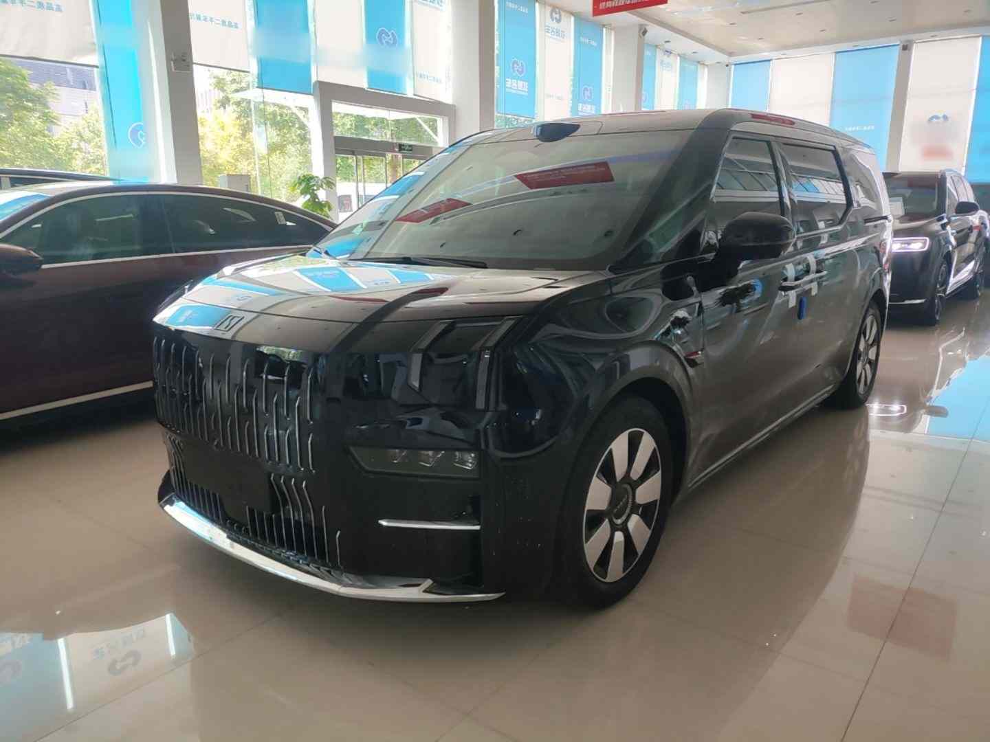 极氪009 2024款 七座过道版四驱 108kWh(2)