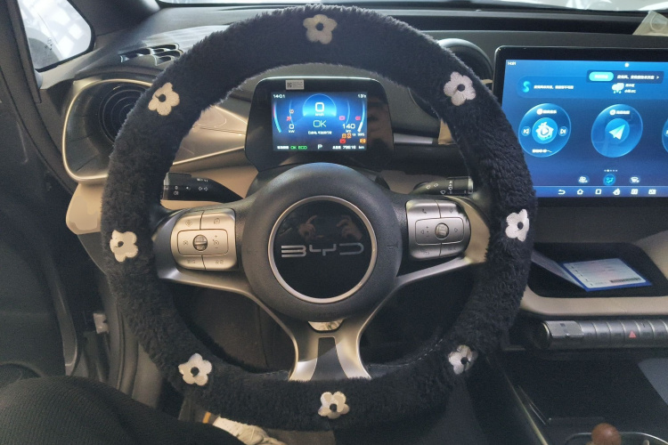 比亚迪 海豚 2023款 420km 自由版中控内饰13