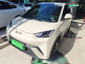 比亚迪 海鸥 2025款 305km 活力版