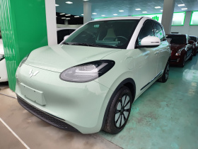 五菱汽车 五菱缤果 2024款 333km 悦享款