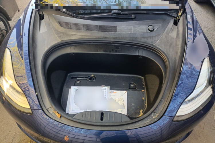 特斯拉 Model 3(进口) 2019款 标准续航后驱升级版(52度)局部细节24