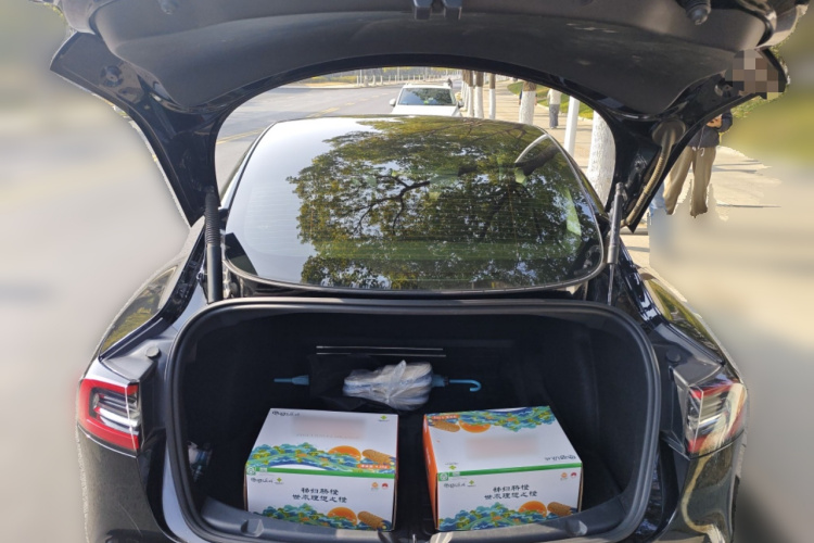 特斯拉 Model 3 2021款 标准续航后驱升级版 3D6中控内饰23