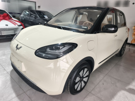 五菱汽车 五菱缤果 2025款 333km 灵犀互联款