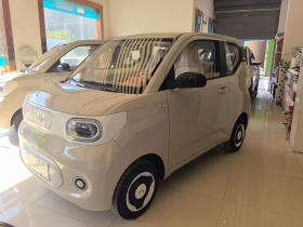 五菱汽车 宏光MINIEV 2024款 第三代 215km 青春版