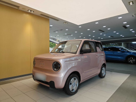 吉利银河 2024款 熊猫mini 200km 耐力熊