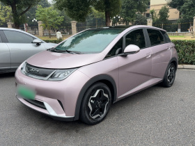 比亚迪 海豚 2021款 405km 时尚版