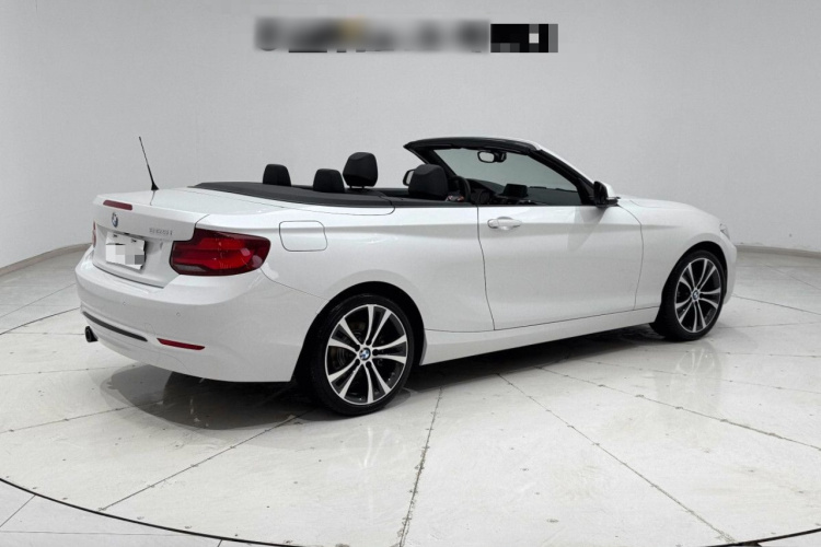 宝马2系(进口) 2019款 225i 敞篷轿跑车 运动设计套装车身外观6005