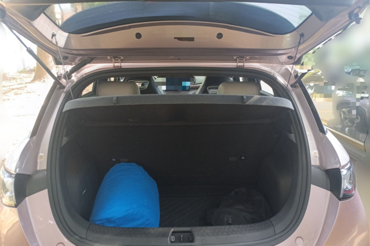 比亚迪 海豚 2021款 405km 时尚版局部细节23