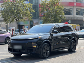 理想汽车 理想L8 2024款 Pro