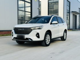 哈弗M6 2023款 PLUS 1.5T DCT豪华智联型