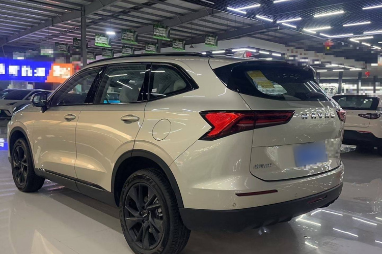 哈弗H6 2024款 1.5T 两驱Ultra车身外观6005