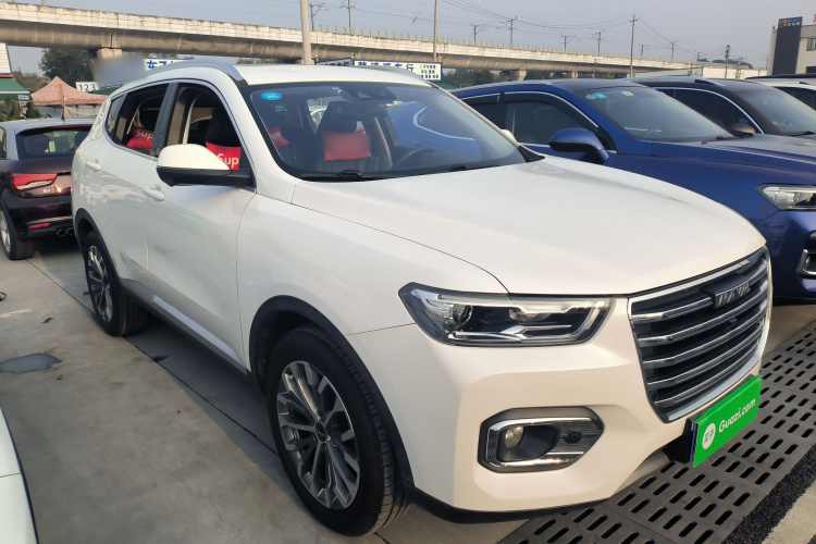哈弗H6 2020款 2.0GDIT 自动铂金豪华版车身外观6002