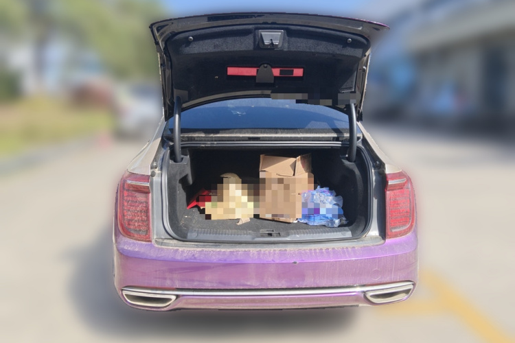 红旗H9 2020款 2.0T 智联旗享版中控内饰23