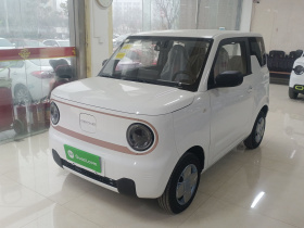 吉利银河 2024款 熊猫mini 200km 耐力熊
