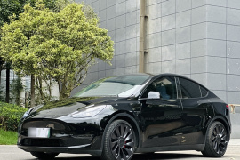 特斯拉 Model Y 2022款 Performance高性能全轮驱动版