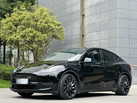 特斯拉 Model Y 2022款 Performance高性能全轮驱动版