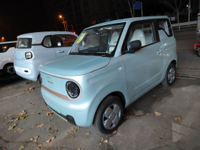 吉利银河 2024款 熊猫mini 200km 耐力熊