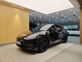 特斯拉 Model Y 2021款 标准续航后驱版