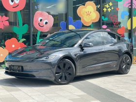 特斯拉 Model 3 2023款 后轮驱动版