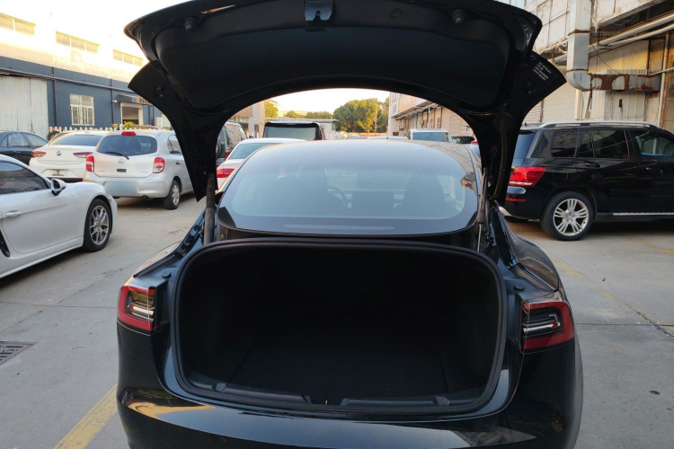 特斯拉 Model 3 2021款 标准续航后驱升级版 3D6局部细节23