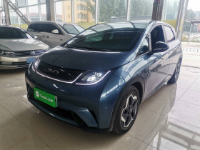 比亚迪 海豚 2025款 420km 活力版