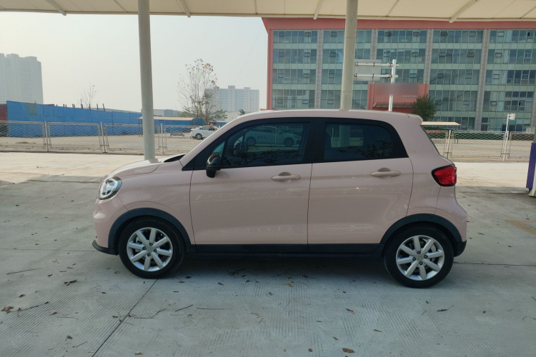 零跑汽车 零跑T03 2022款 珠光版车身外观4