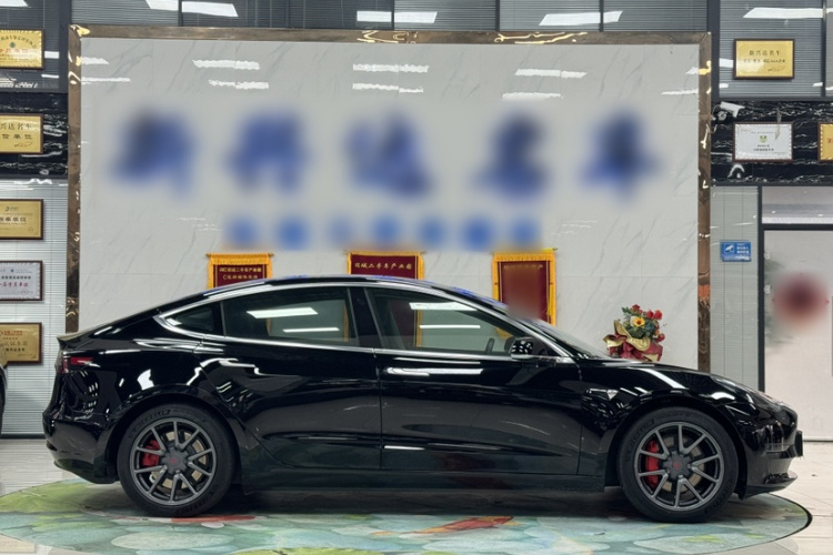 特斯拉 Model 3 2020款 长续航后轮驱动版车身外观6004