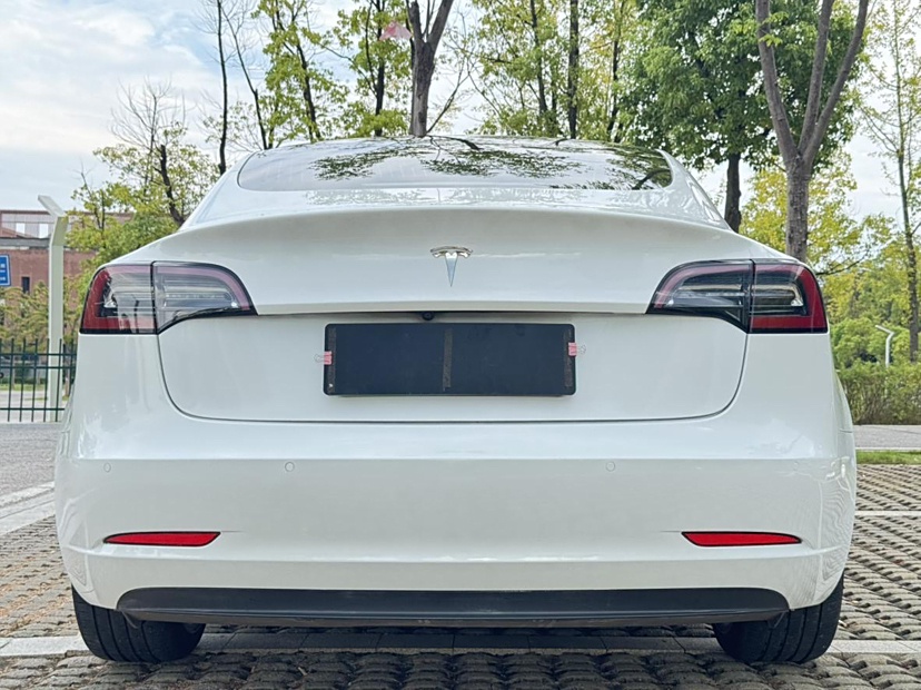 特斯拉 Model 3 2019款 标准续航后驱升级版