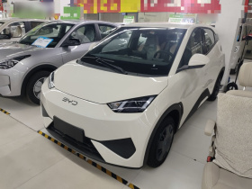 比亚迪 海鸥 2025款 智驾版 305km 活力版