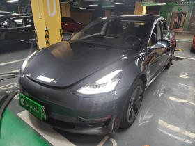 特斯拉 Model 3(进口) 2019款 长续航后驱版
