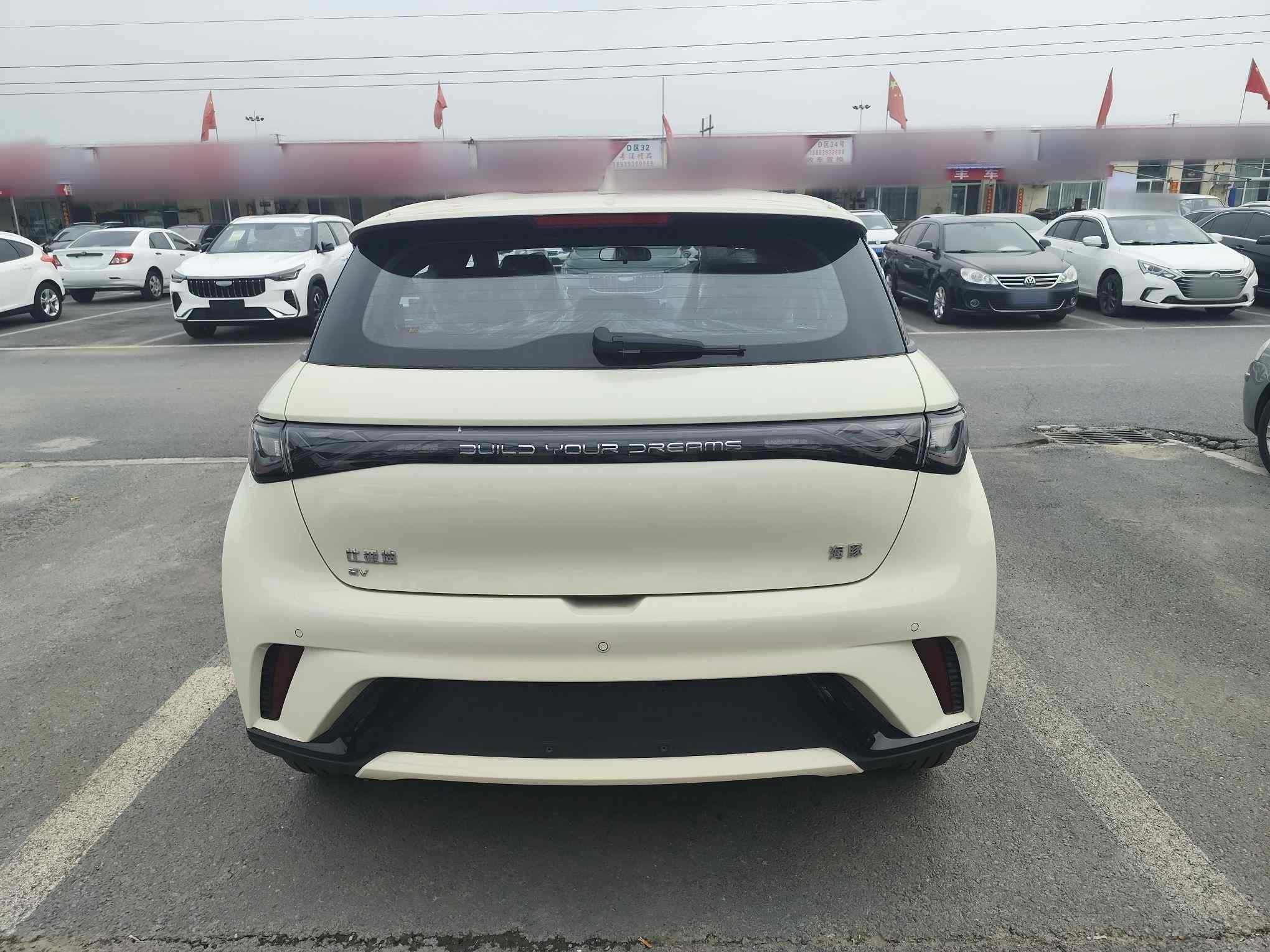 比亚迪 海豚 2025款 420km 自由版(3)